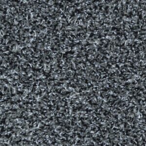 Washable Door Mat Raincloud